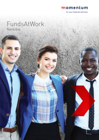 About FAW Namibia - Comprehensive